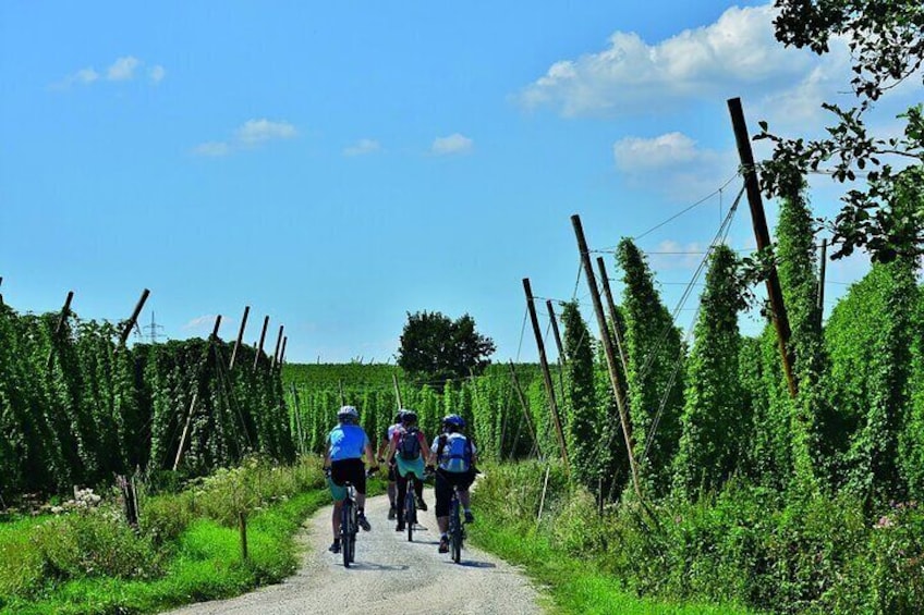 The classic bicycle tour in the Hallertau