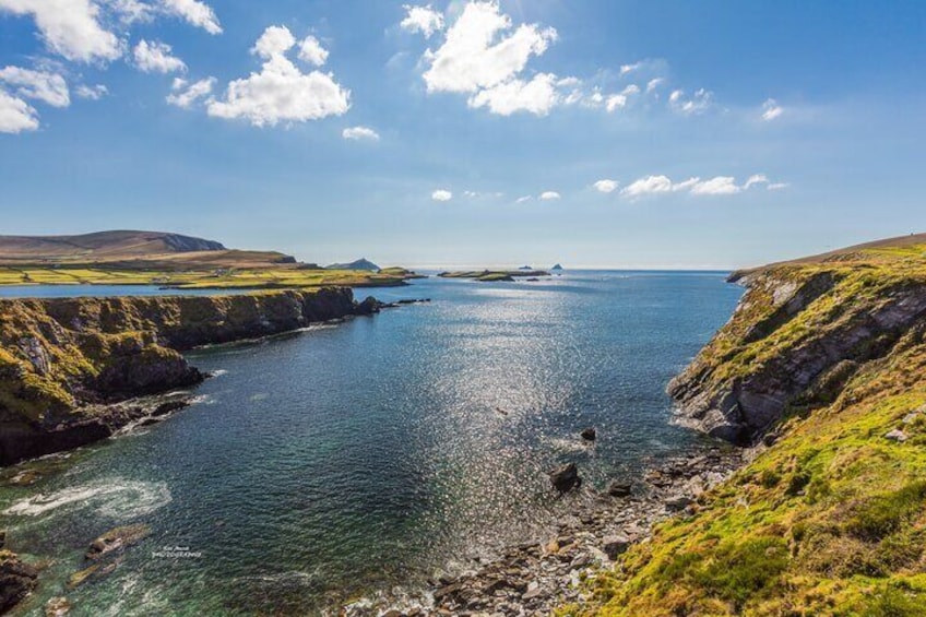 Bray Head