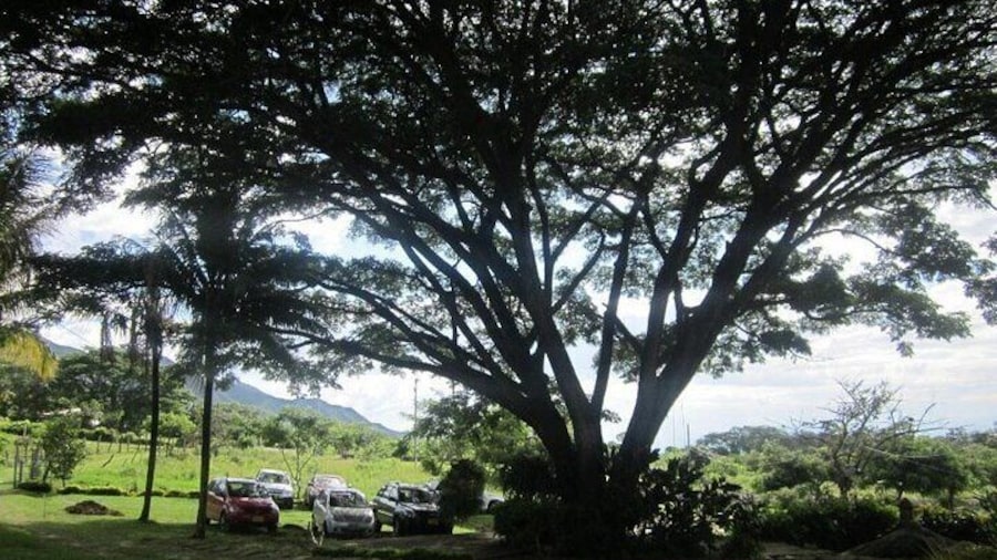 Wine and Chocolate Tour in Thermopylae, Rivera Huila, Neiva