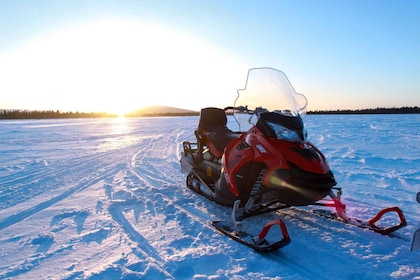 Levi: safari en moto de nieve de 3 horas por Levi con pausa para tomar café