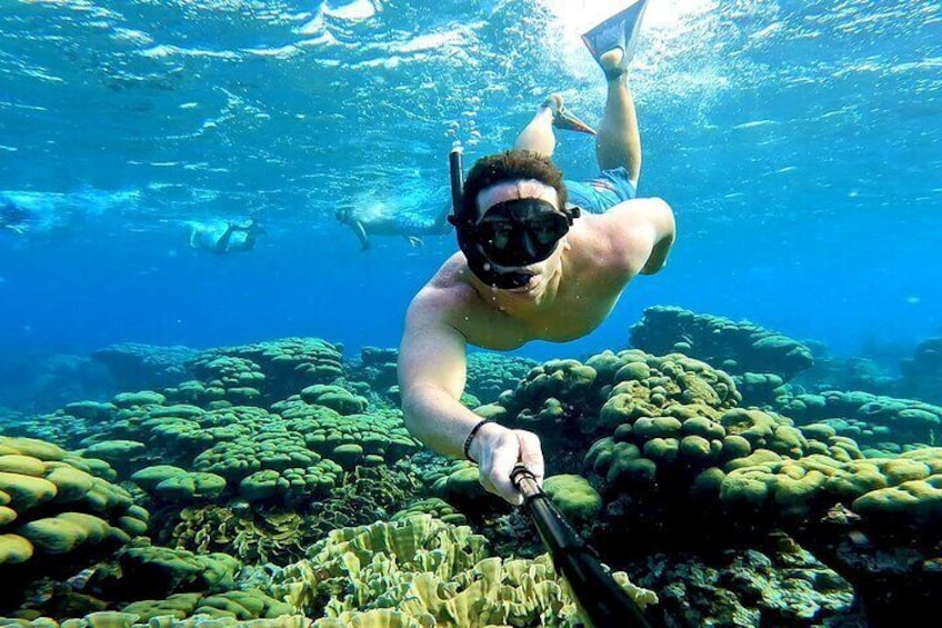 Tropical Sailing Experience with BBQ Lunch or BBQ Dinner in Aruba