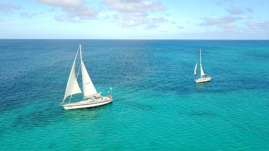Tropical Sailing Experience with BBQ Lunch or BBQ Dinner in Aruba