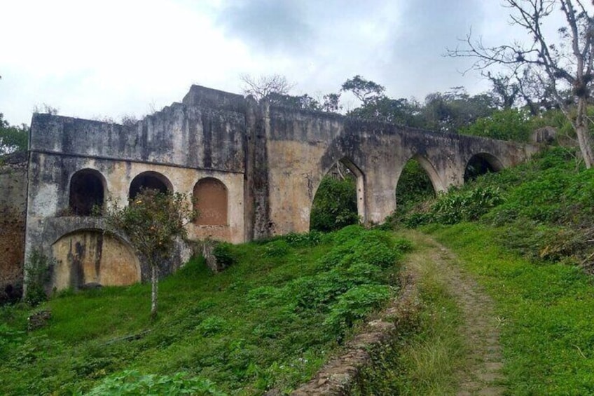 Full Day Coffee Guided Tour in Coatepec