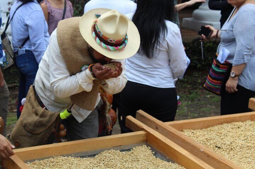 Full Day Coffee Guided Tour in Coatepec