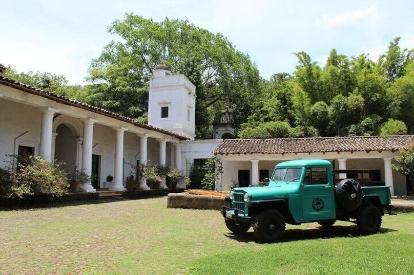 Full Day Coffee Guided Tour in Coatepec