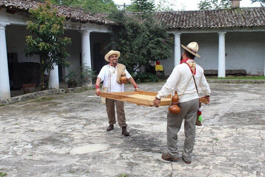 Full Day Coffee Guided Tour in Coatepec