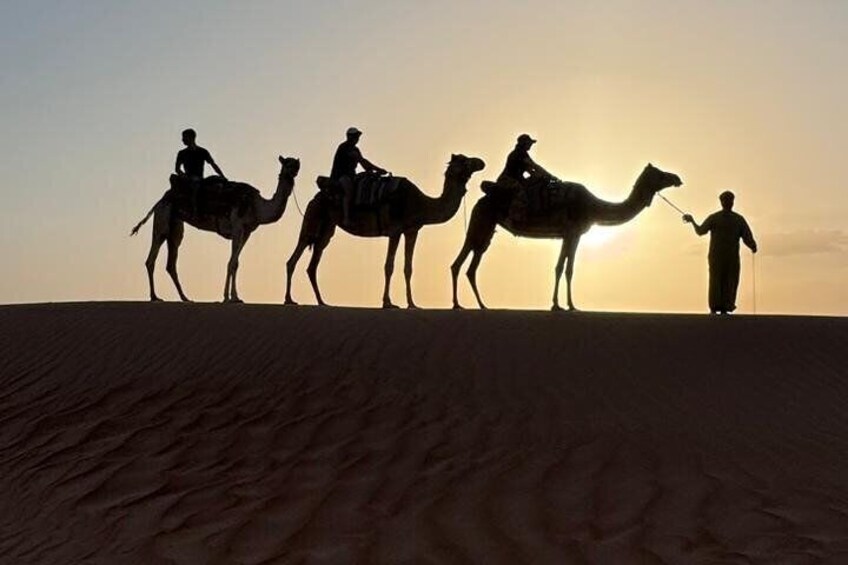 Small Group Safari World with Sunset in Wahiba Desert Tour