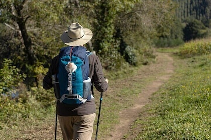 7-Day Portuguese Camino de Santiago Tour from Tui