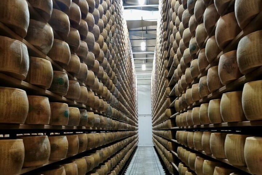 Parmigiano Wine and Balsamic Vinegar Experience from Bologna