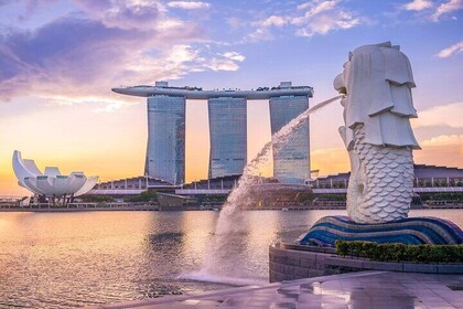 Singapore 4-Hour Private Discovery Tour