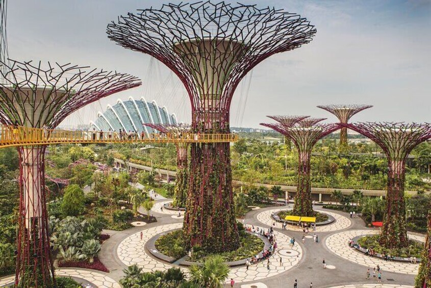 Singapore 4-Hour Private Discovery Tour