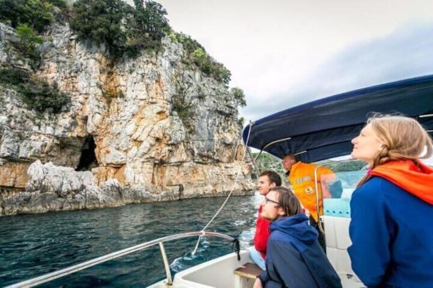 Griffon Vultures Bird Watching Boat Trip in Beli