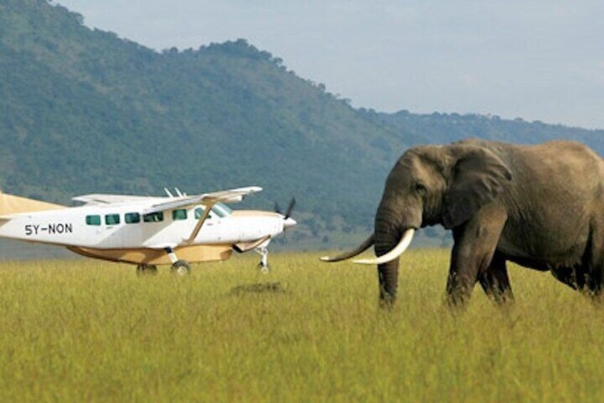 9 Days Wildlife Adventure with Flights and 4x4 Land Cruiser Jeep