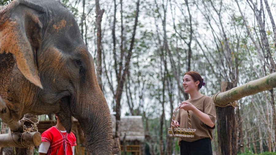 KhaoLak: Elephant Sanctuary Guided Tour with Hotel Transfers