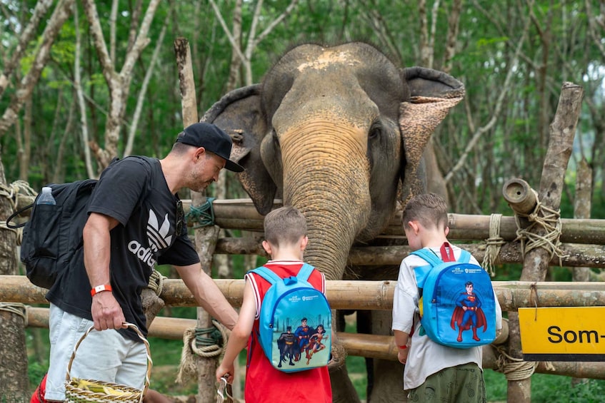 Picture 16 for Activity Khao Lak’s Best: Elephant Sanctuary,Rubber Tapping&Waterfall