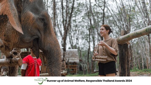 Khao Lak’s Best: Elephant Sanctuary,Rubber Tapping&Waterfall