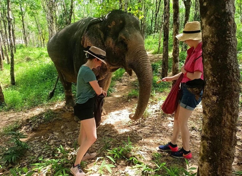 Picture 4 for Activity KhaoLak: Elephant Sanctuary Guided Tour with Hotel Transfers