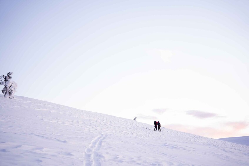 Picture 5 for Activity Levi: Snowshoe Adventure in the Wilderness