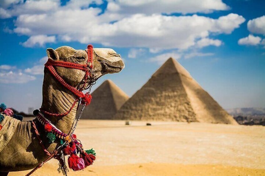 Bus Tour to the Pyramids with Tickets from Sharm El Sheikh