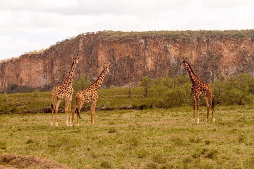 Hells Gate with Hiking Biking Climbing and Camping in Kenya