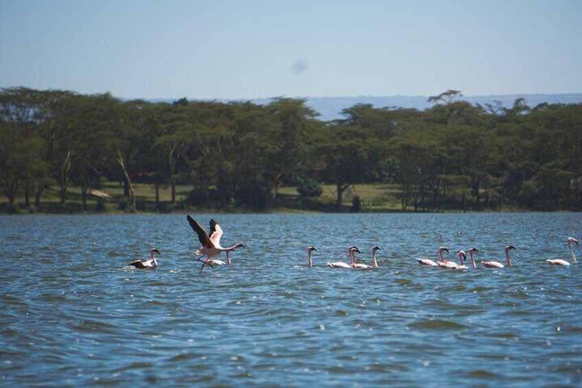  Hells Gate with Hiking Biking Climbing and Camping in Kenya