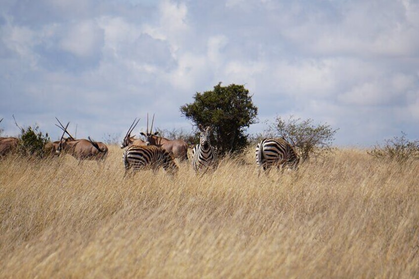 Hells Gate with Hiking Biking Climbing and Camping in Kenya