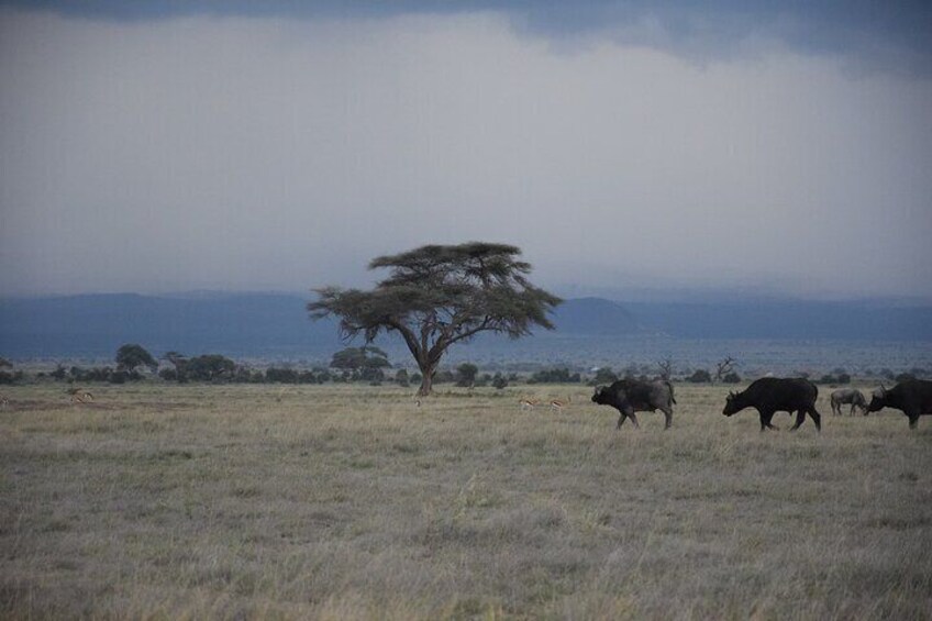  Hells Gate with Hiking Biking Climbing and Camping in Kenya