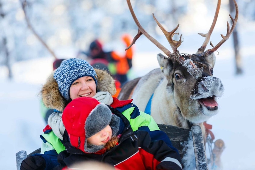 Picture 4 for Activity Levi: Reindeer Sleigh Ride Tour in Snowy Forest