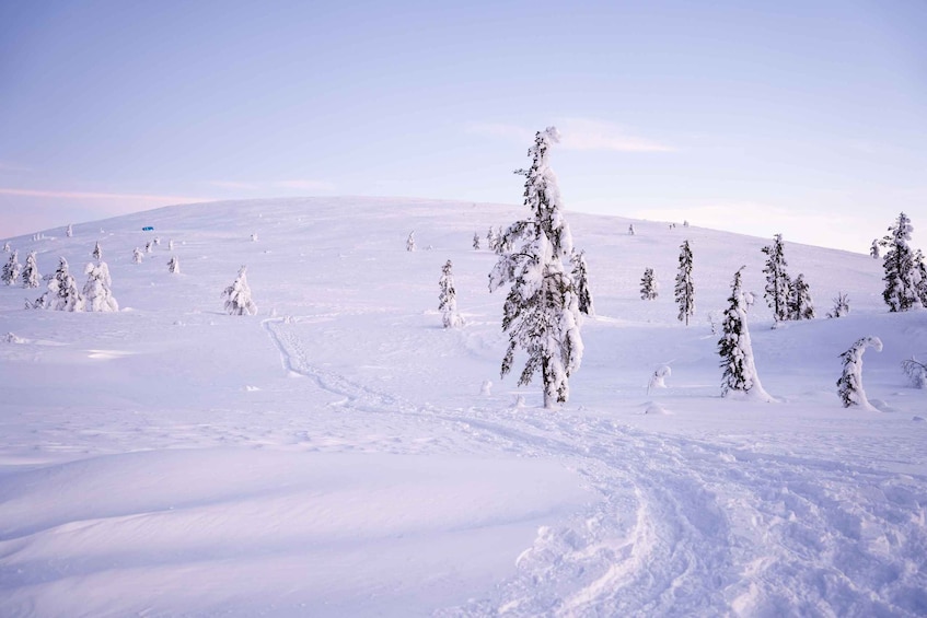 Picture 7 for Activity Levi: Backcountry Skiing Adventure