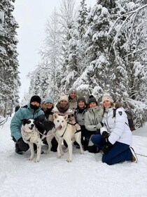 Levi: 2 km Husky Sleigh Ride in the Wilderness