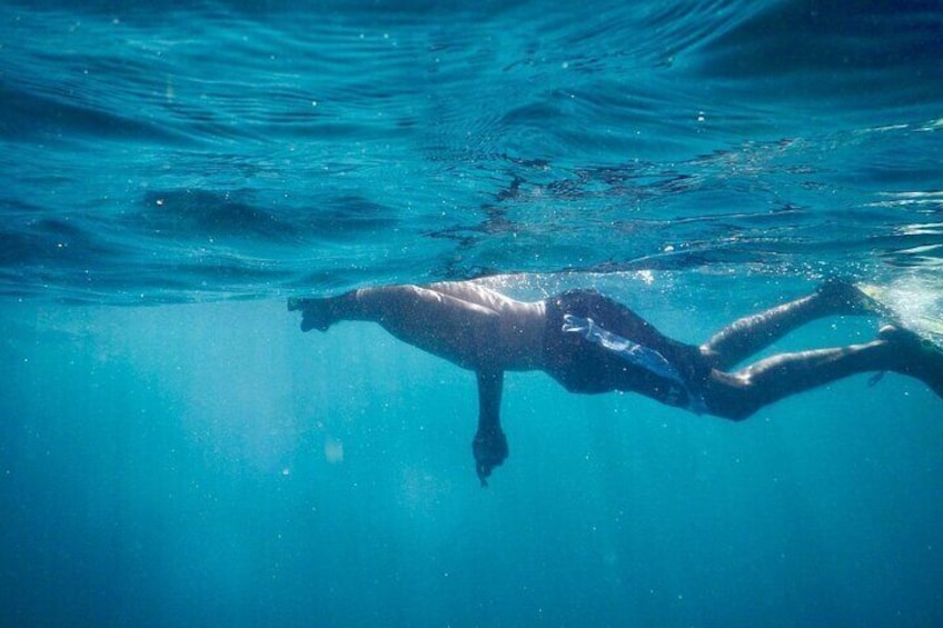 Snorkeling near Tortuga Island