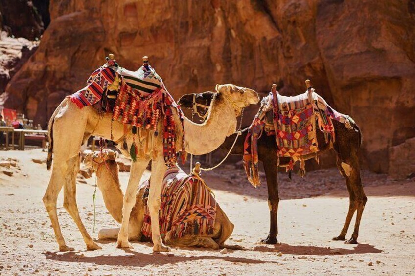 5 Days Private Jordan All Inclusive Tour