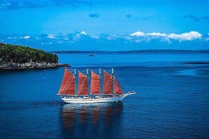 2-timers Windjammer-seiltur i Maine med lisensiert kaptein