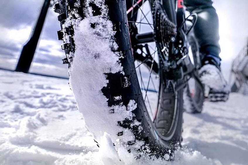 Picture 4 for Activity Winter Fatbiking in Ivalo