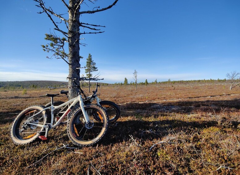 Guided Fatbike Tour in Ivalo