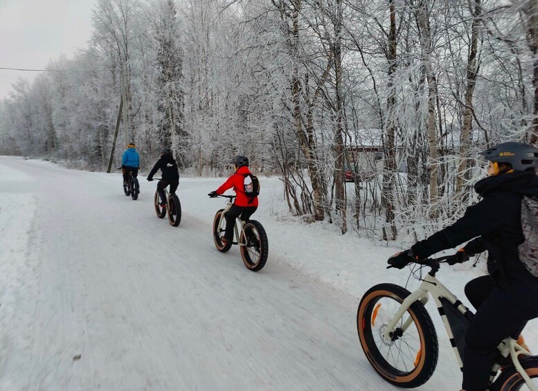 Picture 1 for Activity Winter Fatbiking in Ivalo