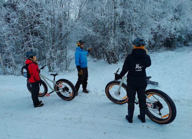 Picture 2 for Activity Winter Fatbiking in Ivalo