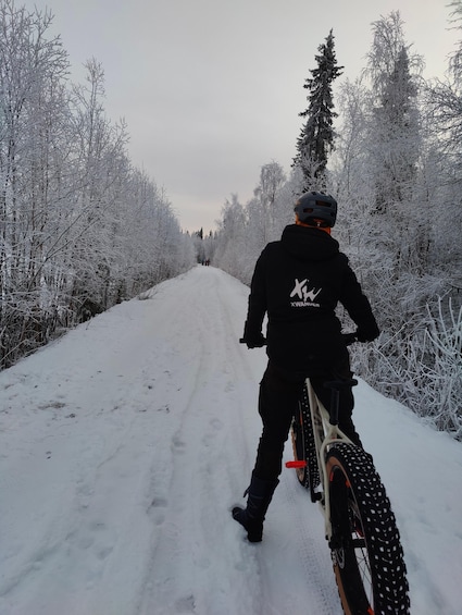 Picture 1 for Activity Guided Fatbike Tour in Ivalo