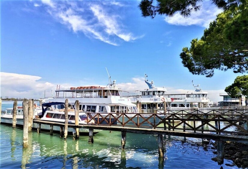 Picture 3 for Activity From Punta Sabbioni traghetto to Venice and Return
