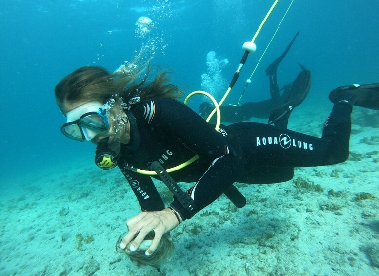 Picture 4 for Activity Corralejo: Lobos Island Beginner Snorkel and Dive Boat Tour