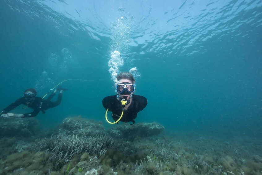 Picture 1 for Activity Corralejo: Lobos Island Beginner Snorkel and Dive Boat Tour