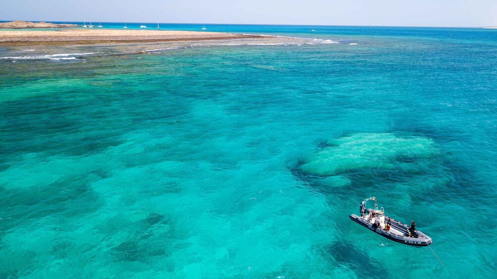 Picture 5 for Activity Corralejo: Lobos Island Beginner Snorkel and Dive Boat Tour