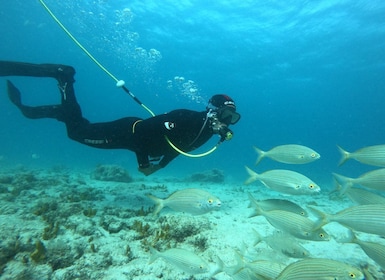 Corralejo: Lobos Island Beginner Snorkel and Dive Boat Tour