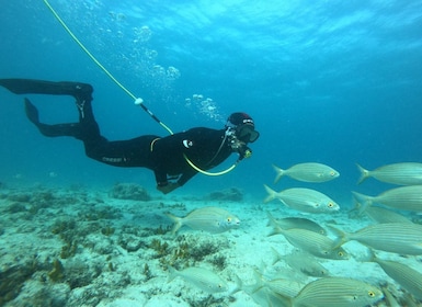 Corralejo: Lobos Island Beginner Snorkel and Dive Boat Tour