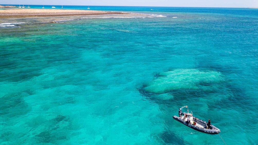 Picture 5 for Activity Corralejo: Lobos Island Beginner Snorkel and Dive Boat Tour