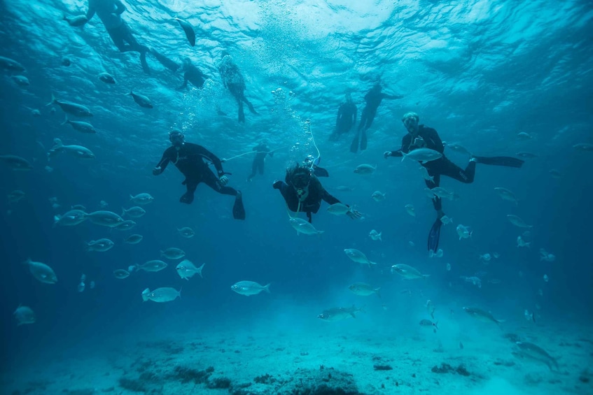 Picture 3 for Activity Corralejo: Lobos Island Beginner Snorkel and Dive Boat Tour