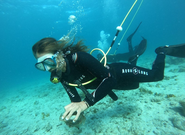 Picture 4 for Activity Corralejo: Lobos Island Beginner Snorkel and Dive Boat Tour