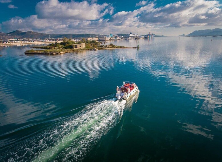 Picture 1 for Activity Olbia: Gulf of Olbia boat tour