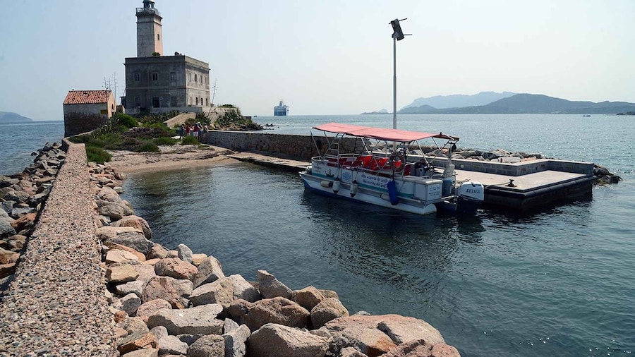 Olbia: Gulf of Olbia boat tour