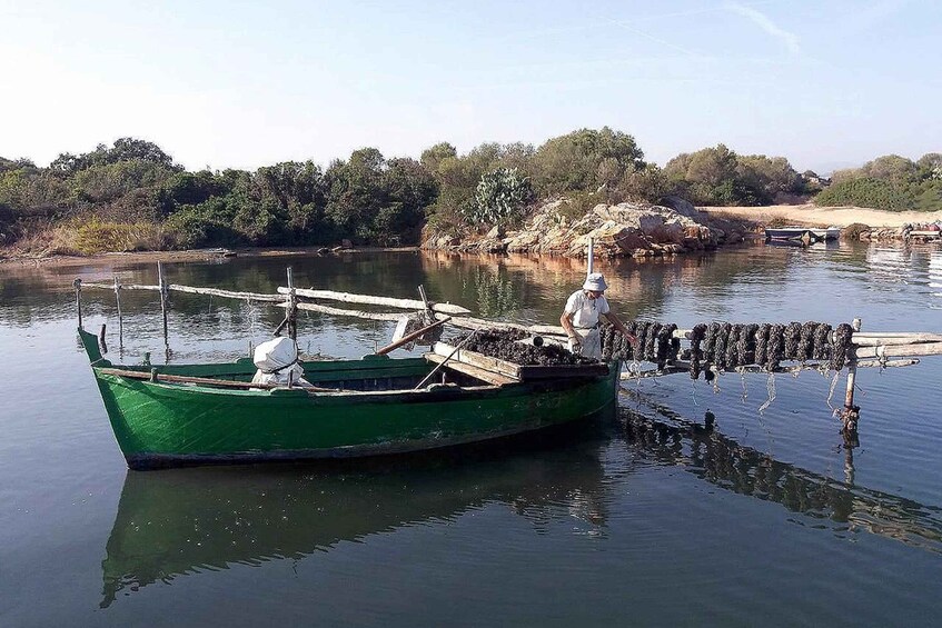 Picture 2 for Activity Olbia: Gulf of Olbia boat tour